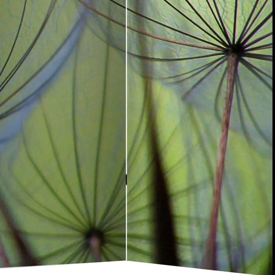 Fotoprint Paravent Close Up Pusteblume - Shalima^Wohnen Clearance