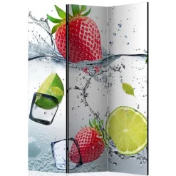 Wohnen Fotoprint Raumtrenner mit Früchten Wasser Eis - Piratro