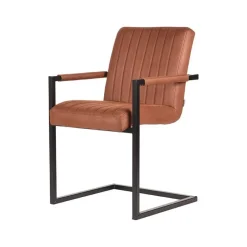 Freischwinger Armlehnenstuhl für den Esstisch - Atria^Wohnen Clearance