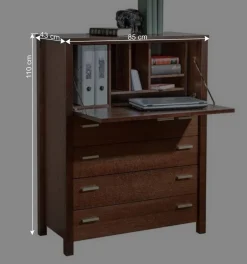 Geradlinige Schreibkommode in Wenge Braun - Glosidrana^Wohnen Clearance