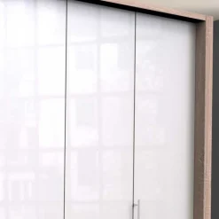 Wohnen Glasbeschichteter Kleiderschrank mit zwei Falttüren - Bosays