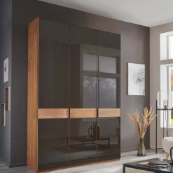 Wohnen Glasfront-Schlafzimmerschrank in Dunkelbraun - Hung