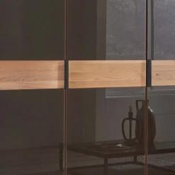 Wohnen Glasfront-Schlafzimmerschrank in Dunkelbraun - Hung