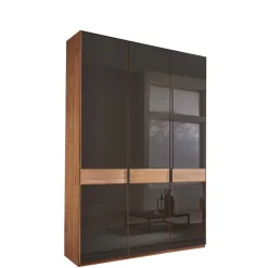 Wohnen Glasfront-Schlafzimmerschrank in Dunkelbraun - Hung