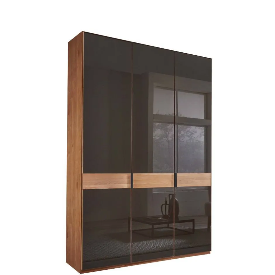 Wohnen Glasfront-Schlafzimmerschrank in Dunkelbraun - Hung