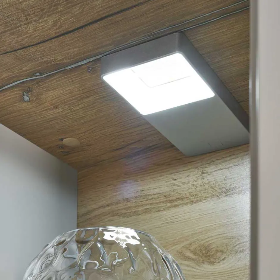 Wohnen Highboard in Hellgrau & Zinneiche NB - Lioscas