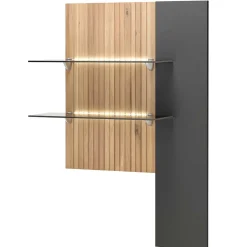 Hängepaneel mit zwei Glasböden & LED Licht - Cruzca^Wohnen Clearance