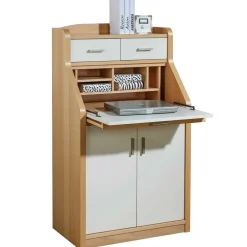 Wohnen Hochwertiger Sekretär in Creme & Buche - Rayn