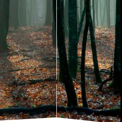 Klappbarer Paravent Herbstwald Fotodruck - Stacie^Wohnen Clearance