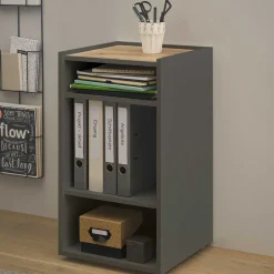 Wohnen Kleines Ordnerregal in Anthrazit & Wildeiche Dekor - Ahilav