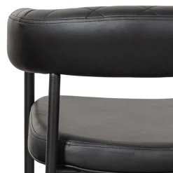 Wohnen Kunstlederstühle in Schwarz - Austral (2er Set)