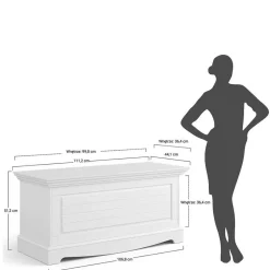 Wohnen Landhaustruhe mit flachem Deckel - Manipur