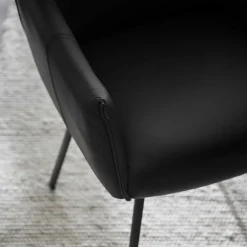 Leder Armlehnenstuhl in Schwarz - Iliandro (2er Set)^Wohnen Best