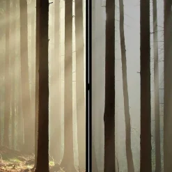 Wohnen Leinwand Paravent mit Naturmotiv Wald - Nadiola