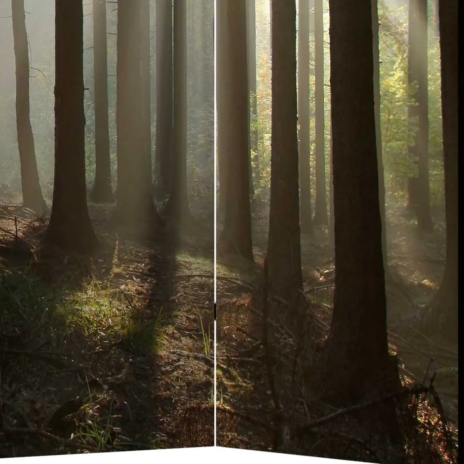 Wohnen Leinwand Paravent mit Naturmotiv Wald - Nadiola