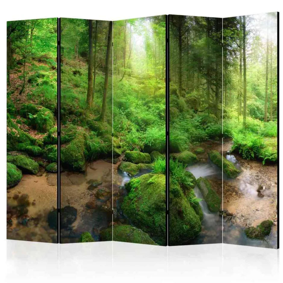 Wohnen Leinwand Raumtrenner Wald Landschaft - Habanna
