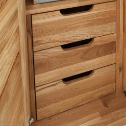 Wohnen Massiv Holzschrank Cranos aus Wildeiche