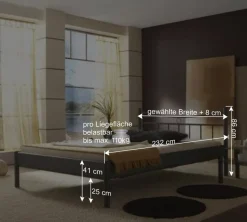 Wohnen Metallbett Rebeca in Dunkelgrau