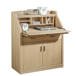 Moderner Schreibschrank mit Furnier Eiche - Twinn^Wohnen New