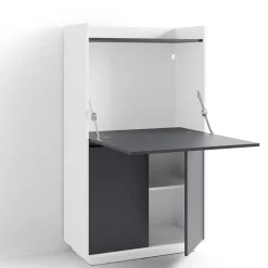 Moderner Sekretär in Weiß und Anthrazit - Exotica^Wohnen Online