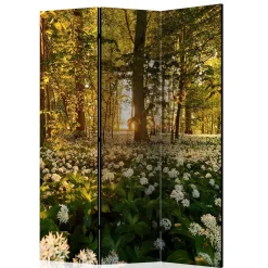 Wohnen Naturmotiv Paravent Wald Bäume & Bärlauch - Sybila III
