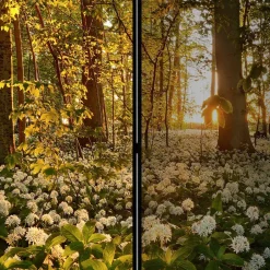 Wohnen Naturmotiv Paravent Wald Bäume & Bärlauch - Sybila III