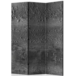 Wohnen Paravent in Dunkelgrau Stein Struktur Optik - Tulaterri