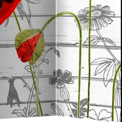 Paravent Klatschmohn & Kornblume - Aschau^Wohnen Discount