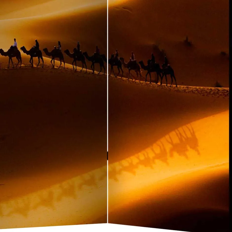Paravent mit Foto Wüste mit Kamel Karavane - Lively^Wohnen New