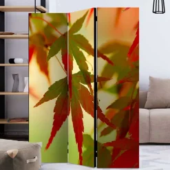 Wohnen Paravent mit Fotodruck Fächerahorn Blätter - Kasaryn