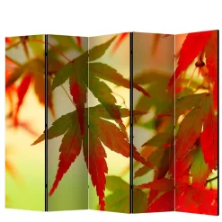 Wohnen Paravent mit Fotodruck Fächerahorn Blätter - Kasaryn