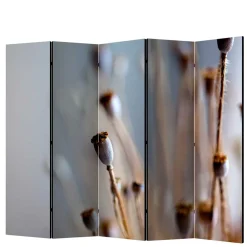 Wohnen Paravent mit Fotoprint Mohn Samenkapseln - Porongo