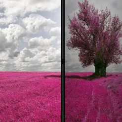 Wohnen Paravent mit Landschaft Motiv in Pink - Altamira