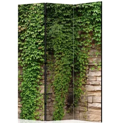 Paravent mit Mauer & Ranke Wilder Wein - Letona^Wohnen