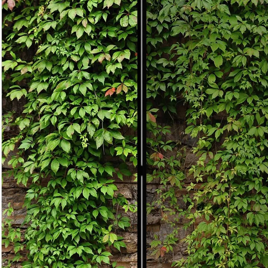 Paravent mit Mauer & Ranke Wilder Wein - Letona^Wohnen
