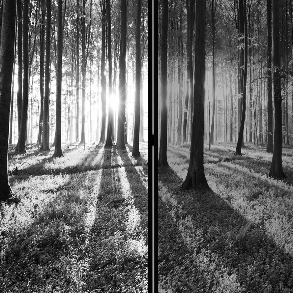 Paravent mit Schwarz-Weiss Druck Wald - Norte^Wohnen Sale