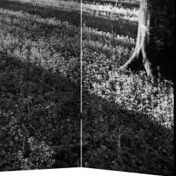 Paravent mit Schwarz-Weiss Druck Wald - Norte^Wohnen Sale