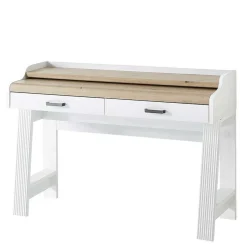 PC Schreibtisch & Rollcontainer - Mehady (zweiteilig)^Wohnen Best