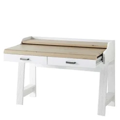 PC Schreibtisch & Rollcontainer - Mehady (zweiteilig)^Wohnen Best