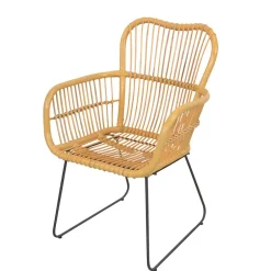 Wohnen Rattan Sessel mit Eisen Bügelgestell - Finaly