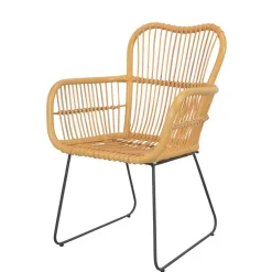 Wohnen Rattan Sessel mit Eisen Bügelgestell - Finaly