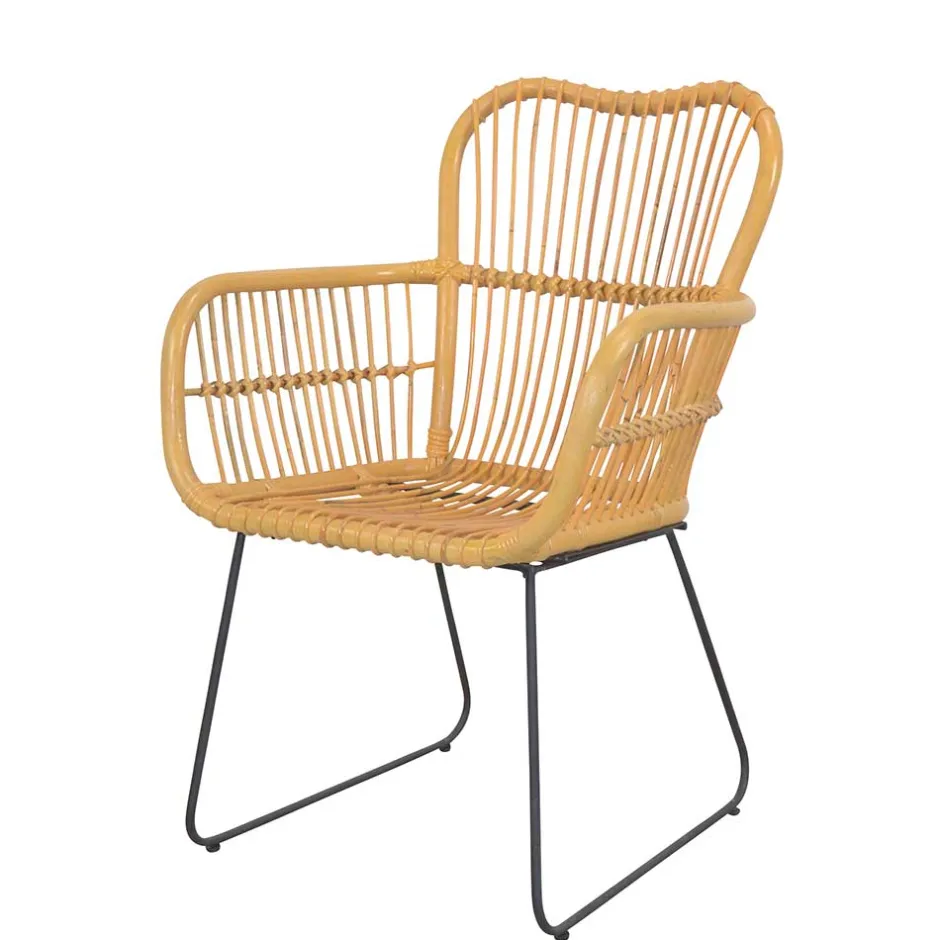 Wohnen Rattan Sessel mit Eisen Bügelgestell - Finaly