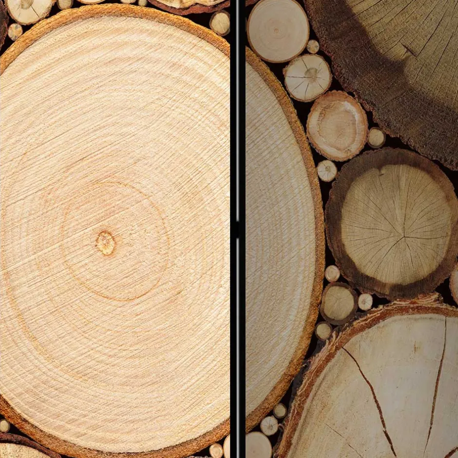 Raumteiler mit Fotodruck Baumscheiben - Siska^Wohnen Clearance