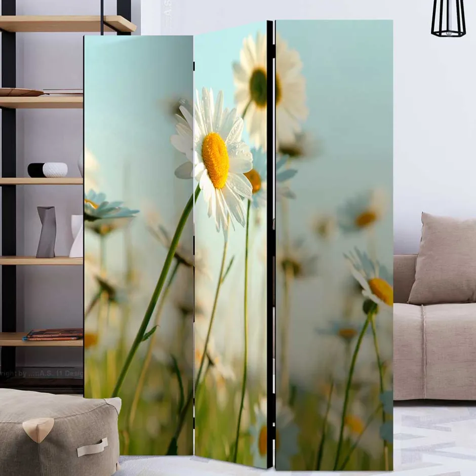 Wohnen Raumteiler Paravent mit Foto Gänseblümchen - Lipari