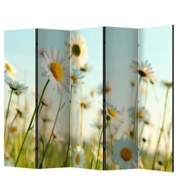 Wohnen Raumteiler Paravent mit Foto Gänseblümchen - Lipari