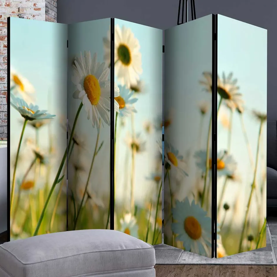 Wohnen Raumteiler Paravent mit Foto Gänseblümchen - Lipari