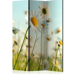 Wohnen Raumteiler Paravent mit Foto Gänseblümchen - Lipari