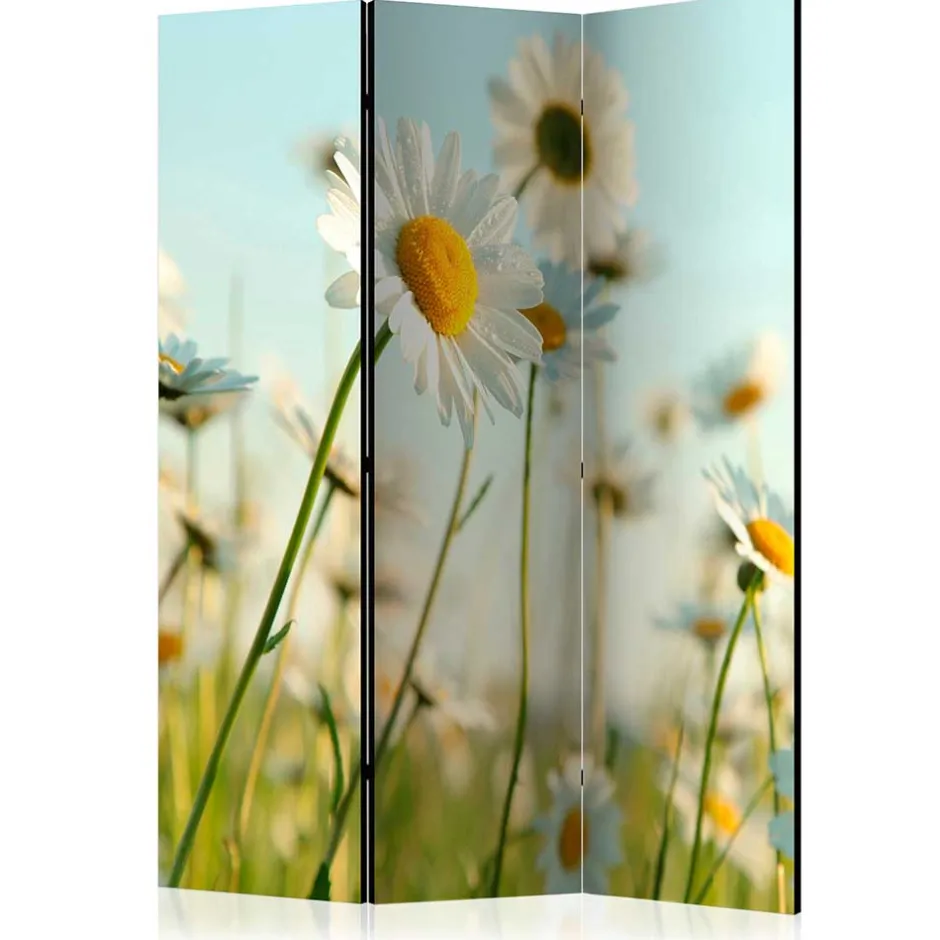 Wohnen Raumteiler Paravent mit Foto Gänseblümchen - Lipari