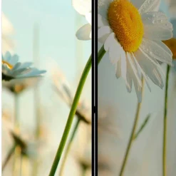 Wohnen Raumteiler Paravent mit Foto Gänseblümchen - Lipari