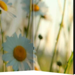 Wohnen Raumteiler Paravent mit Foto Gänseblümchen - Lipari